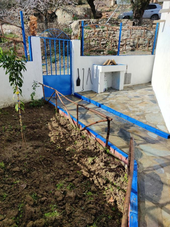 Ioli'S Apartments أرخانجلوس المظهر الخارجي الصورة