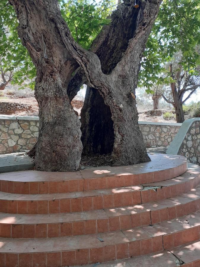 Ioli'S Apartments أرخانجلوس المظهر الخارجي الصورة