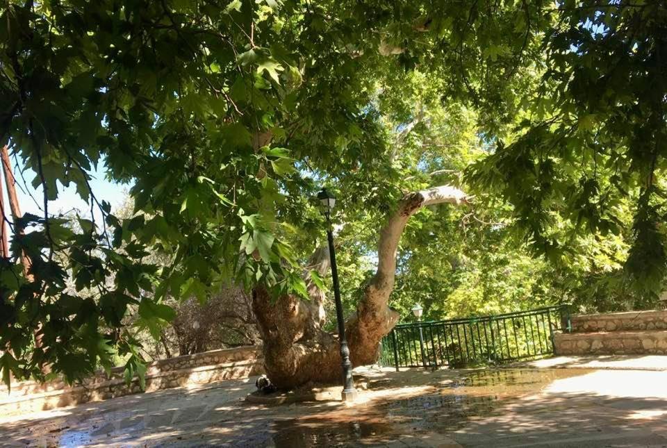 Ioli'S Apartments أرخانجلوس المظهر الخارجي الصورة
