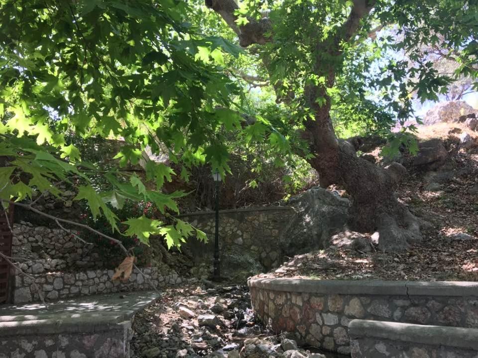 Ioli'S Apartments أرخانجلوس المظهر الخارجي الصورة