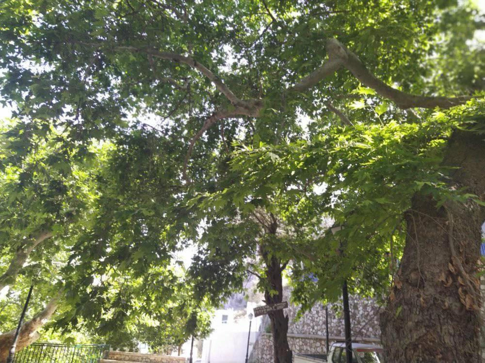 Ioli'S Apartments أرخانجلوس المظهر الخارجي الصورة